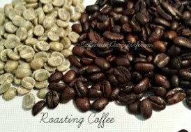 Arabica Coffee bean