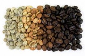 Robusta Coffee bean Roasted
