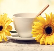 Cà phê và Trà: Thức uống  nào tốt hơn cho bạn?